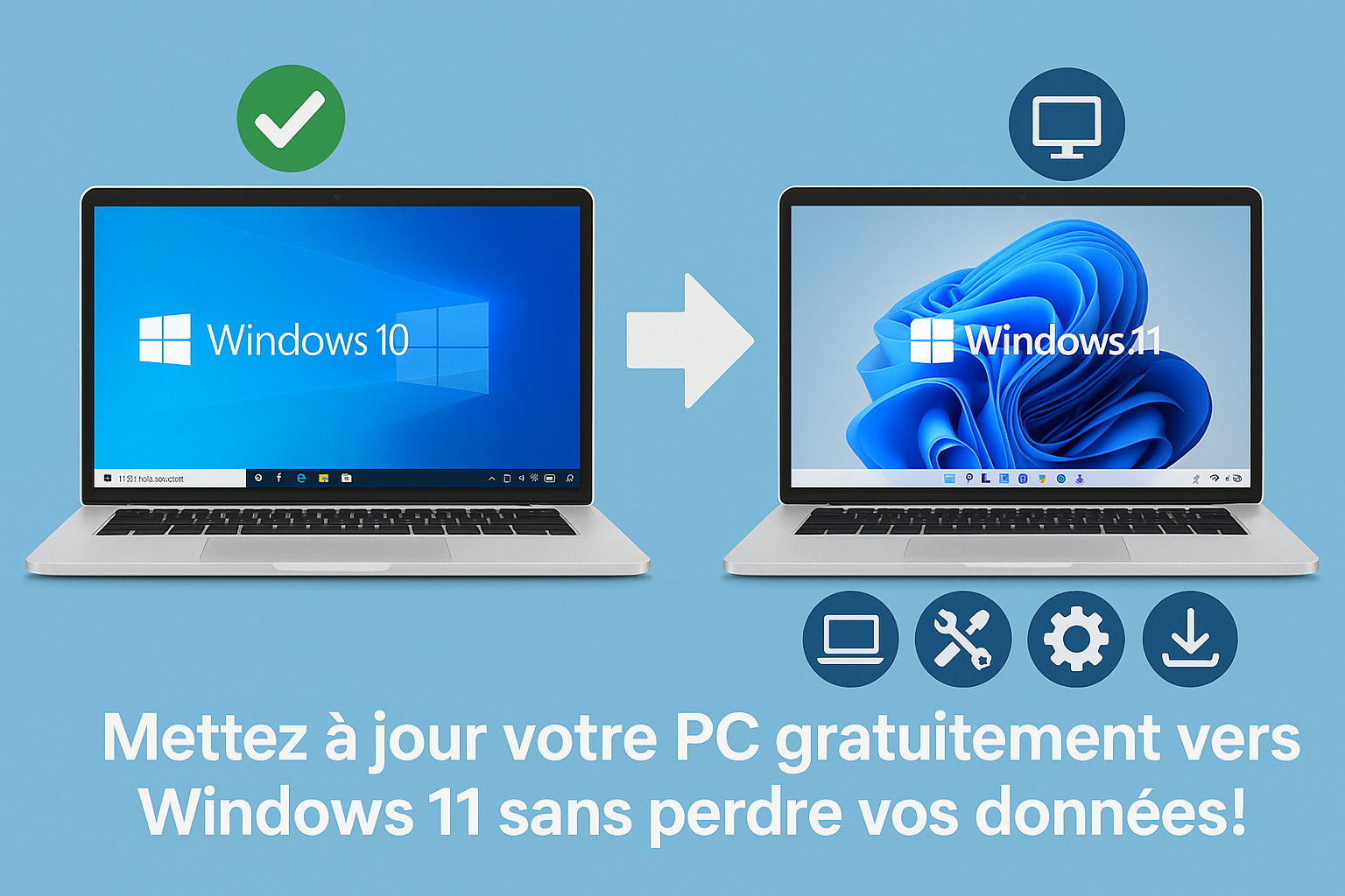 Windows 11